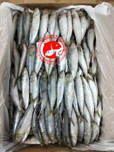 Sardines congelées saines riches en oméga 3, protéines, pêchées en eau sauvage, goût frais, idéales pour griller/fricoter/conserver, Pakistan, 12 mois - Product Image 3
