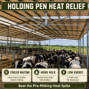 Ventilador de Techo HVLS Grande para Circulación de Aire en Establos, Reduce el Estrés por Calor en Vacas Lecheras en el Área de Recogida de Leche - Product Image 2
