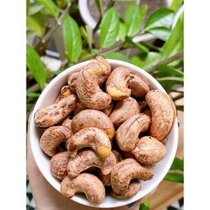 Anacardos vietnamitas tostados con sal Kim Long de primera calidad, con cáscara, envasados al vacío, listos para consumir, para proyectos de marca privada - Product Image 1