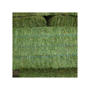 Heno de alfalfa curado al sol, rico en proteínas y fibra, ideal para alimentar animales de granja. - Product Image 6