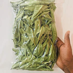 ใบฝรั่งแห้งในเวียดนาม: คุณภาพสูงและราคาแข่งขัน // อีวาน - Product Image 6