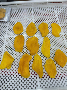 Wholesale Commercial Dried <b>Mango</b> Chunks | Uniform Texture – Excellent Durability for Retail - Product Image 1