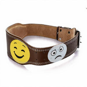 Cinturón de Soporte Lumbar para Levantamiento de Pesas, Cinturón de Entrenamiento con Diseño de Anime, Cinturón de Levantamiento Unisex - Product Image 1