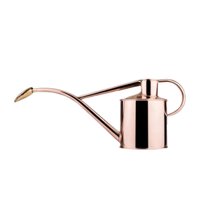 Wholesale <b>Garden</b> Planting Metal Water <b>Cane</b> Classic Stylish Metal Water Can Galvanized Finished Watering Can - Product Image 4