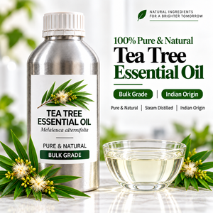 Fabricante de Aceite Esencial de Melaleuca Alternifolia de Primera Calidad, Distribuidor Mayorista y Proveedor B2B en India - Product Image 1