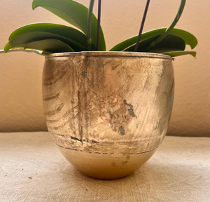 Maceta de Aluminio Cromado con Patrón en Relieve, Diseño Floral Elegante, Calidad Superior, Nueva Colección para Jardín, Ecológica - Product Image 5