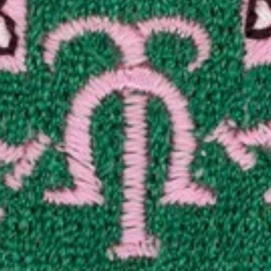 Parche Bordado Rosa y Verde AKA, Termoadhesivo o para Coser, para Sudaderas, Chaquetas, Mochilas y Gorras - Product Image 3