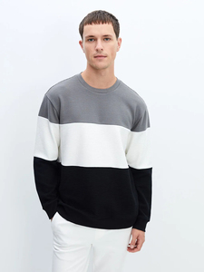 Sudadera Unisex con Bloques de Color, Cuello Redondo, Tejida, Oversize, Informal, para Otoño, Corte Regular, Manga Larga - Product Image 6