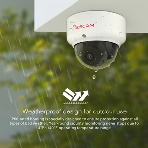 <span class=keywords><strong>Foscam</strong></span> D2EP 1080p POE kamera kubah luar ruangan kamera keamanan CCTV kubah IP 2MP penglihatan malam - Product Image 2