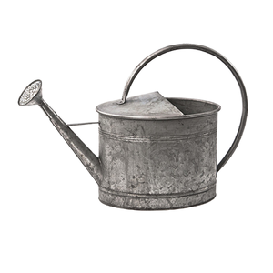 Arrosoir antique en métal galvanisé - Product Image 1