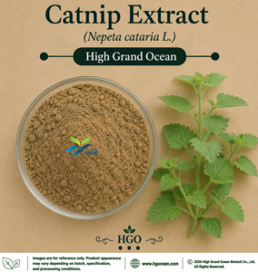 Suministro Directo de Fábrica HGO de Extracto de Catnip (Nepeta cataria L.) Grado Alimenticio, Extracto en Proporciones 4:1 5:1 10:1 20:1 100:1 200:1 - Product Image 1