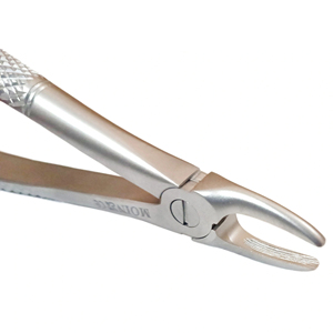 Pinzas de Molares Superiores Rectas, Tipo Figura 29, de Acero Inoxidable, para Extracción Dental, Instrumento Quirúrgico - Product Image 6