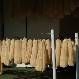 Éponge de loofah 100% naturelle pour le bain et la douche, exfoliant corporel - Product Image 4