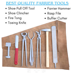 Kit d'outils de ferrage en mallette avec pince à fer, marteau à clous, décolleur de sabots, pince à clincher courbée, coupe-clous, râpe à lisser, lime et polisseur - Product Image 2