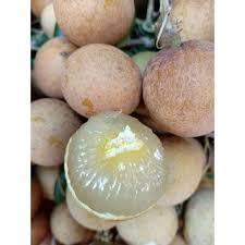 Fruta de Longan Congelada IQF de Alta Calidad, Pulpa de Longan Sin Semillas, Venta al Por Mayor - Product Image 3
