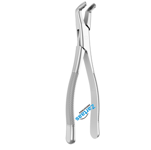 Pinzas de Extracción Dental de Acero Inoxidable de Alta Calidad para Molares Inferiores, Figura 224, Instrumentos Dentales - Product Image 6