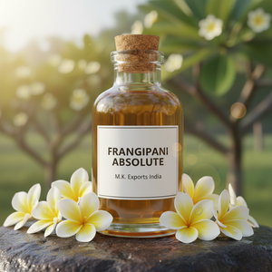 Extrait de fleur d'huile absolue de frangipanier pur de haute qualité non dilué - Product Image 4