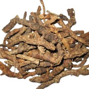 Proveedor de Productos Naturales, Raíz de Picrorrhiza Kurroa, Materia Prima Botánica, Venta al por Mayor - Product Image 1