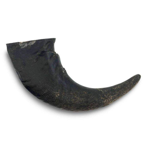 Juguete Masticable para Perros de Cuerno de Búfalo Natural de Alta Calidad, Ecológico, Diseño Innovador, Cubo de la India, Juguetes Promocionales - Product Image 5