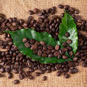 ผู้ผลิตกาแฟโรบัสต้าเวียดนาม บรรจุภัณฑ์เมล็ดกาแฟคั่วแบบขายส่ง สำหรับการจัดจำหน่ายกาแฟปริมาณมาก - Product Image 1