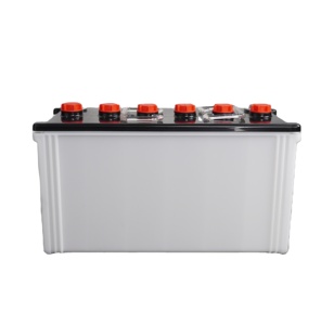 Cas de batterie de camion N100 OEM/ODM fabrication de produits en plastique demande personnalisée du Vietnam - Product Image 1