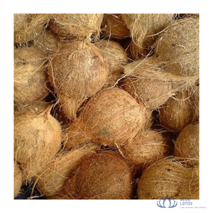 มะพร้าวสดแบบกึ่งปอกเปลือก เกรดพรีเมียม สีน้ำตาลอ่อน ขนาด 10-13 ซม. สำหรับอุตสาหกรรมอาหาร การปรุงอาหาร ขายส่ง บลูโลตัส เวียดนาม - Product Image 1