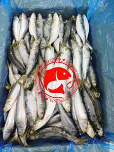 Sardines congelées saines riches en oméga 3, protéines, pêchées en eau sauvage, goût frais, idéales pour griller/fricoter/conserver, Pakistan, 12 mois - Product Image 5