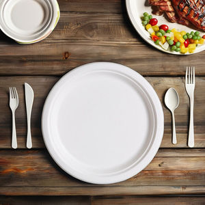 Platos de papel desechables compostables de 10 pulgadas, 9 pulgadas, 7 pulgadas, plato de bagazo resistente, platos de caña de azúcar ecológicos biodegradables - Product Image 1