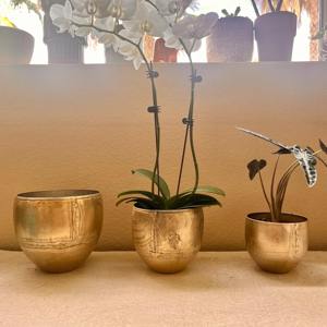 Jardinière d'extérieur en métal finition or vintage, style simple, idéale pour jardin, balcon et exposition extérieure, vente en gros depuis l'Inde - Product Image 3