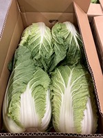 Grandes quantités de légumes verts de qualité supérieure : Radis, Épinards frais, Chou à tige verte