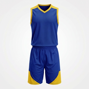 Maillot de basketball de rue brodé, imprimé numérique, 100 % polyester, séchage rapide, sans manches, taille US TAZ LOLA BUGS - Product Image 4