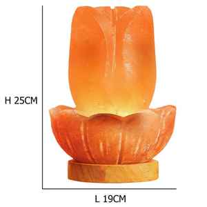 Manufacturer Pakistan Customizable Himalayan Pink Natural Salt Lamp E26/E14 Electric Powered Custom Table Lamps B22 <b>Crystal</b> Body - Product Image 3