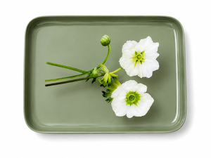 QMRF HANDICRAFTS Modelo 123 Bandeja de Servicio Rectangular de Hierro Estampado Metálico, Duradera, Estilo Americano, para Uso Diario, de Uttar Pradesh - Product Image 3