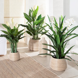 Juego de 3 cestas redondas multiusos de mimbre marino, cestas de almacenamiento hechas a mano, venta al por mayor, ecológicas, hechas en Vietnam - Product Image 5