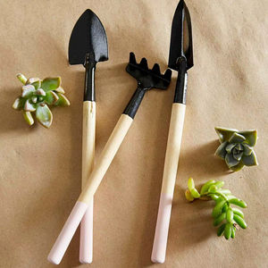 Ensemble d'outils de jardinage miniatures modernes avec longues poignées en bois, pelle et râteau pour l'entretien des plantes succulentes - Product Image 1