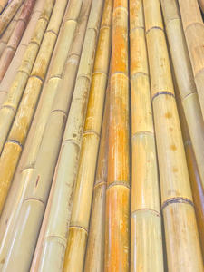 Piquets en bambou du Vietnam – Solution d'aménagement paysager naturelle et biodégradable - Product Image 3