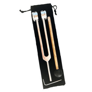 Juego de 25 Diapasones de Acero (256, 512, 1024 Hz), Kit Quirúrgico Manual Reutilizable, Instrumentos de Diagnóstico Médico para Uso Clínico - Product Image 4