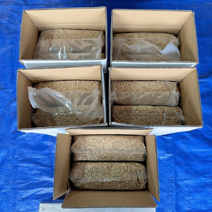 Prix d'usine Noix de cajou vietnamiennes Kaju SANTIGO Caju Noix de cajou brisées - Product Image 6