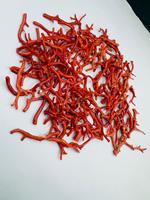 Perles de corail rouge italien brutes en forme d'arbre, pierres précieuses naturelles de haute qualité pour la fabrication de bijoux, lot en gros