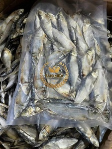 Proveedor de calidad superior, arenque seco, pescado, Sardinella, espadín, pescado para perros y gatos, tratamientos, fábrica de aperitivos para mascotas de Vietnam - Product Image 4