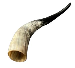 Support de Corne à Boire Ronde Polie Style Corne de Viking Écologique de Qualité, Design Moderne, Objets de Collection Artistiques PERFECT ENTERPRISES - Product Image 1