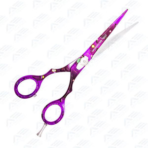 Ciseaux à effiler professionnels de 6 pouces en acier inoxydable pour coiffeur, ciseaux de coiffure pour salon de beauté - Product Image 4