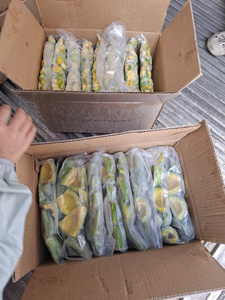 Avocat surgelé IQF entier/en tranches/en dés/en morceaux/en moitiés, emballage sous vide, durée de conservation de 24 mois, 1 kg, export Vietnam, marque KMI - Product Image 2