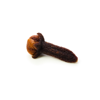 Clous de girofle séchés de qualité alimentaire / Clous de girofle entiers / Herbes et épices individuelles Clou de girofle à prix de gros avantageux