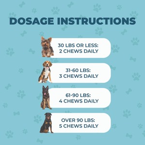 ADINS International Hip Joint Glucosamine Hemp Treat saveur poulet, friandises à mâcher souples pour chiens de tous âges et de toutes races, soutien à la santé des articulations - Product Image 3
