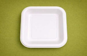 7 Inch <b>Compostable</b> Bagasse Square Tray | Eco-Friendly Disposable Food Tray for Party Use Microwave Safe Bulk Pack - Product Image 4