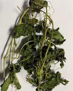 Feuilles de courge amère séchées naturelles, produit à base de plantes sans produits chimiques pour le thé santé et l'extraction - Product Image 5