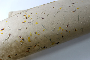 Feuilles de papier de jardin ivoire 80 GSM pour l'art et l'artisanat, pétales de fleurs et herbe hachée fine, compatibles sérigraphie, en pâte de cellulose - Product Image 5