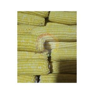 Maíz Blanco Congelado de Alta Calidad al Mejor Precio, Proveniente de Vietnam, Maíz Entero Dulce al Vapor, Listo para Enviar - Product Image 2
