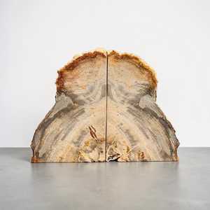 Premium Petrified Wood <b>Bookends</b> Natural Fossil Stone Decorative <b>Bookends</b> - Product Image 4